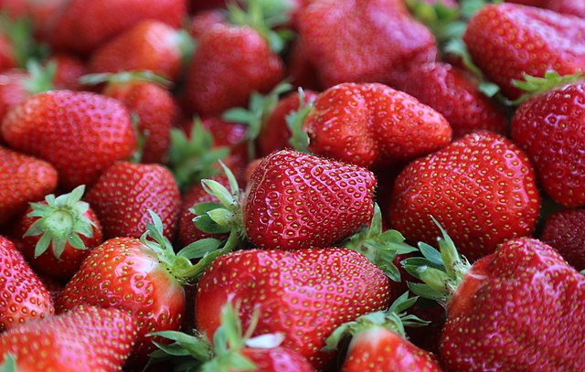 Strawberries: Credit, Wikimedia Commons Kashmir’s strawberry harvest kicks off in Gasso village, promises low yields