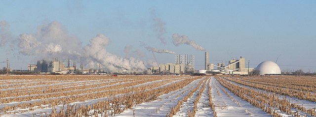 Corn plant in Nebraska: Credit, Wikimedia Commons Corn plant in US
