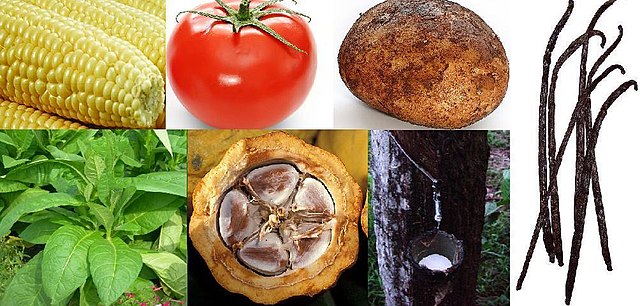 New crops attracting gene-editing: Credit, Wikimedia Commons agricultural seed and plants