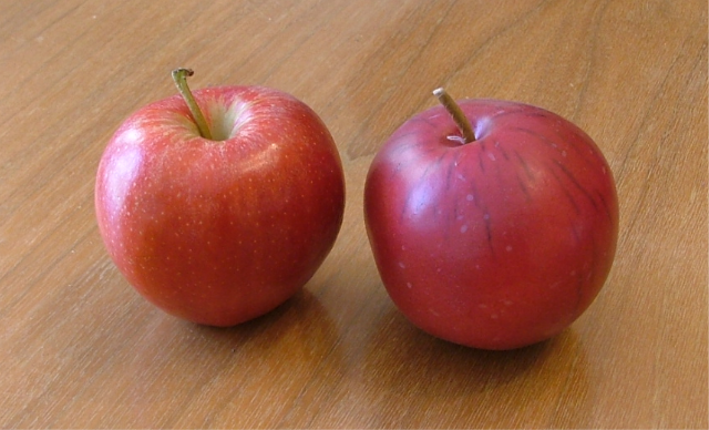 gala apple on the left: Credit, Wikimedia Commons gala apple on the left
