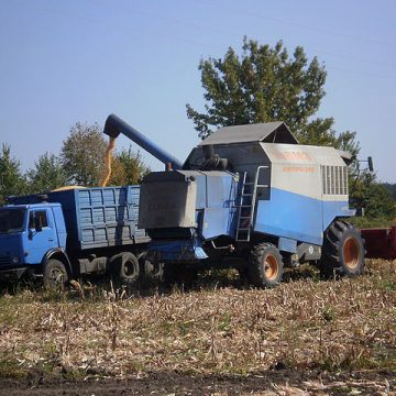 Grain truck loading on a Ukraine farm: Credit, Wikimedia Commons Grain truck loading in Ukraine