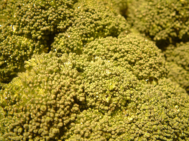 Broccoli up close: Credit. Wikimedia Commons Broccoli head close-up