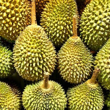 Durian: Credit, Wikimedia Commons Durian