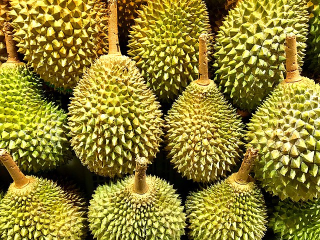 Durian: Credit, Wikimedia Commons Durian