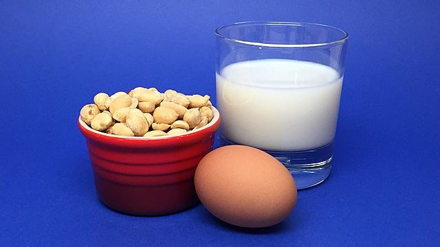 US groceries e.g. eggs and milk