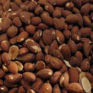 Ivory Coast downgrades mid-crop cocoa harvest to 400,000 tonnes