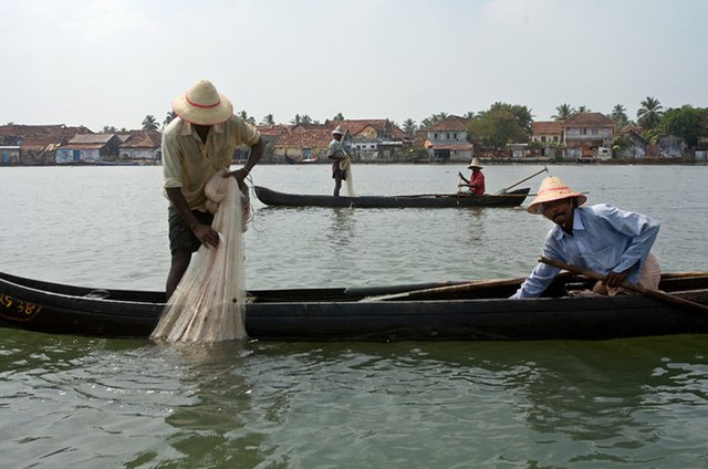 Fishermen in Kochi, India: Credit, Wikimedia Commons Fisheries in India