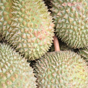 Durians: Credit, Wikimedia Commons China-Indonesia durian protocol awakens dormant direct trade