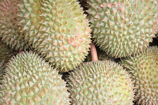 Durians: Credit, Wikimedia Commons China-Indonesia durian protocol awakens dormant direct trade