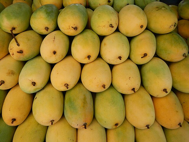 Tropical mangoes: Credit, Wikimedia Commons tropical mangoes