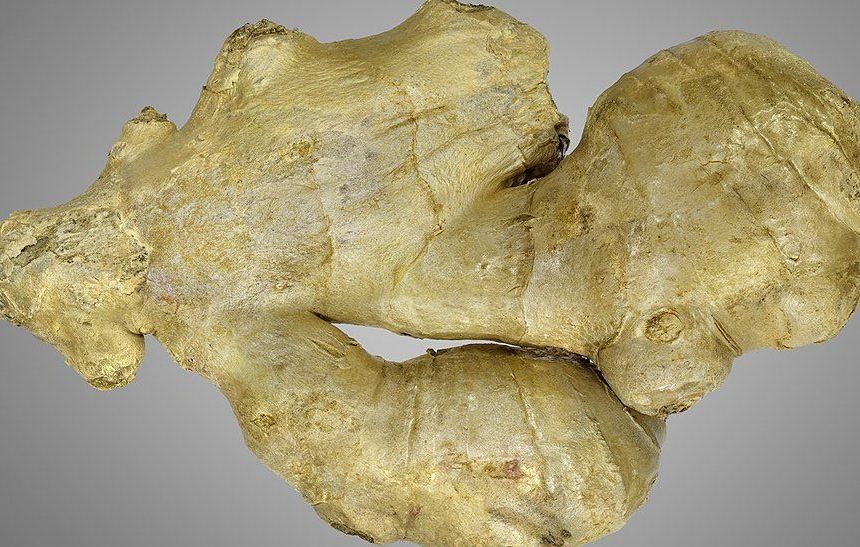 Ginger root