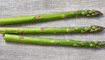 Asparagus: Credit, Wikimedia Commons BC’s Armstrong Asparagus Farm expects 30 to 50% yield increase this Mothers Day weekend