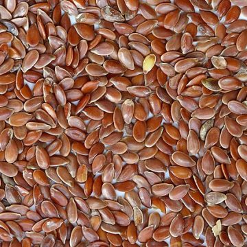 Preserved brown flax seeds: Credit, Wikimedia Commons flaxseed