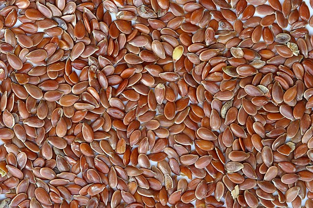 Preserved brown flax seeds: Credit, Wikimedia Commons flaxseed