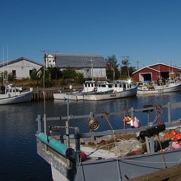 Fishing boats at Murray Harbour, P.E.I: Credit, Wikimedia Commons Fishing boats on Prince Edward Island