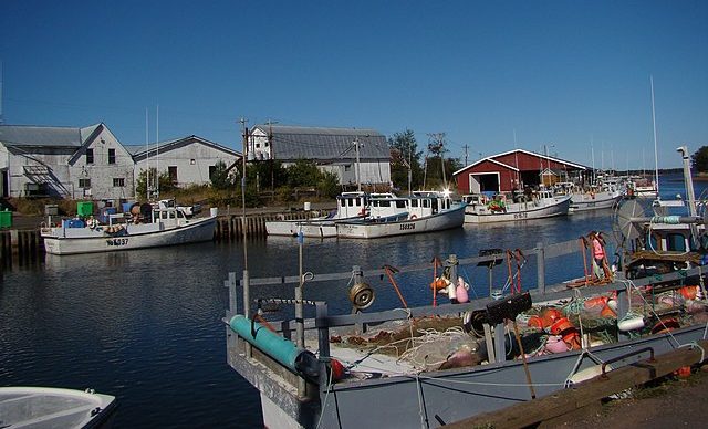 Fishing boats at Murray Harbour, P.E.I: Credit, Wikimedia Commons Fishing boats on Prince Edward Island