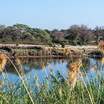 Irrigation near Okavango River, Namibia: Credit Wikimedia Commons Irrigation near Okavango River, Namibia