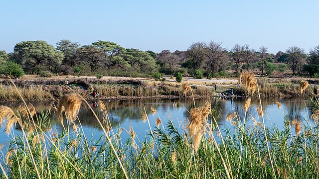 Irrigation near Okavango River, Namibia: Credit Wikimedia Commons Irrigation near Okavango River, Namibia