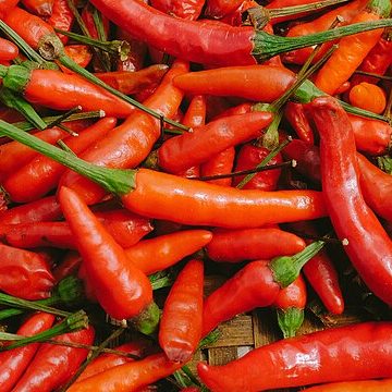 Chili peppers in Vietnam: Credit, Wikimedia Commons Pepper from Vietnam