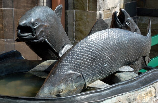 The 2024 Scotland salmon season registers a 36% 4-month growth 