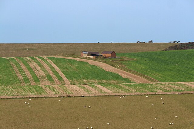 American farm activity during no recession: Credit, Wikimedia Commons Agriculture secretary pick Rollins advances past committee test