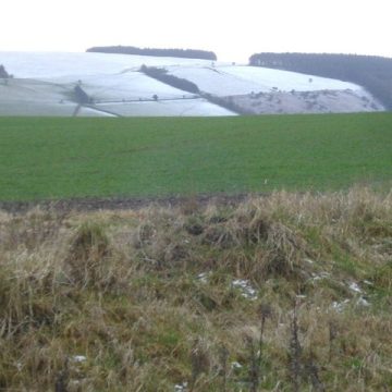 Snowed over winter wheat: Credit, Wikimedia Commons Winter wheat, rye post early yields in Manitoba’s multi-crop harvest