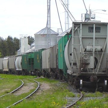 Canada rail cars carrying grain: Credit, Wikimedia Commons How a Canada rail strike would impact regional agriculture