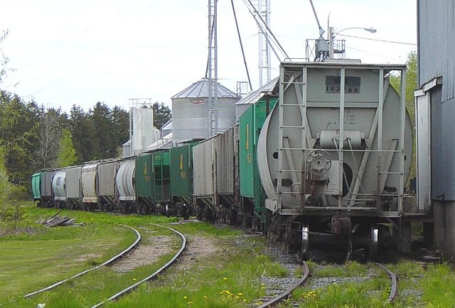 Canada rail cars carrying grain: Credit, Wikimedia Commons How a Canada rail strike would impact regional agriculture
