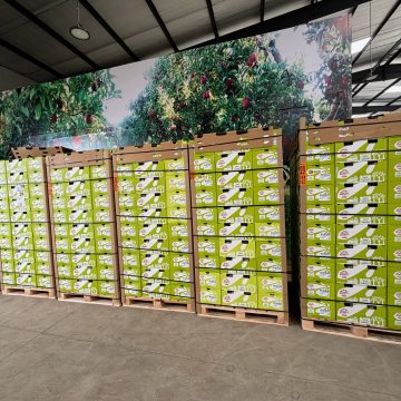 Zespri brand kiwi fruit at Fruitbox’s state-of-the art facilities near Nairobi, Kenya. Fruitbox brings Zespri kiwifruit to Kenya: “cost is less by doing direct routing”