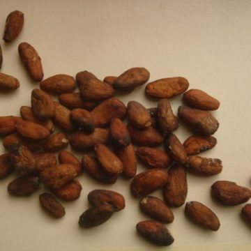 The Ivory Coast farm-gate cocoa rate secures global competitiveness 