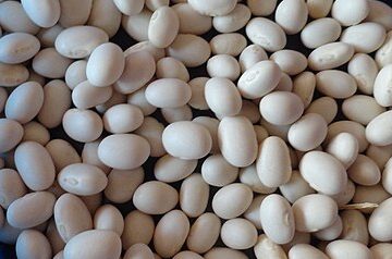 United States tips Vietnam as agricultural export market in balancing act
