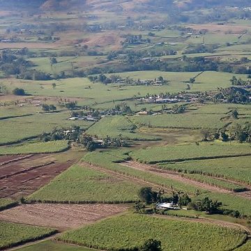 Organised agriculture in Oceania: Credit, Wikimedia Commons Food prices in Fiji to cool courtesy Agriculture Ministry