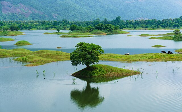 A water reservoir in Andhra Pradesh, India: Credit, Wikimedia Commons Is rainwater harvesting becoming a must in India?