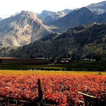 Wine tariff countdown starts for South Africa 