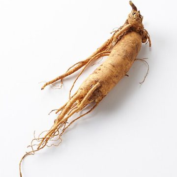 Ginseng marketing in Wisconsin starts behind the tariff curtain