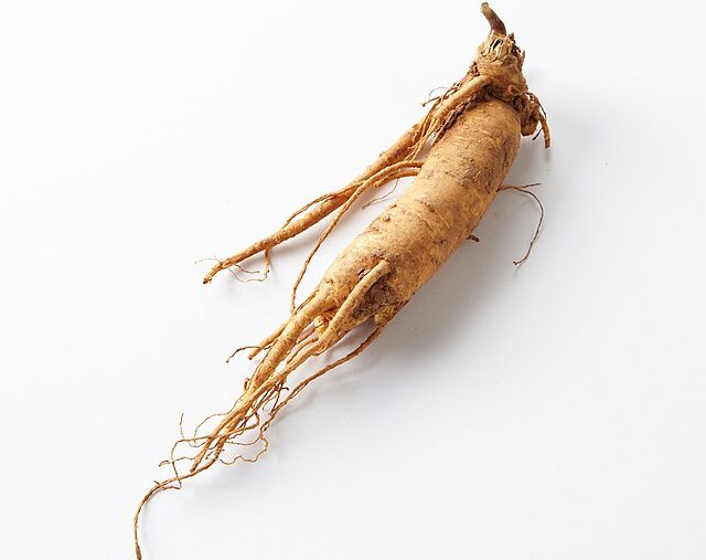 Ginseng: Credit, Wikimedia Commons Ginseng marketing in Wisconsin starts behind the tariff curtain