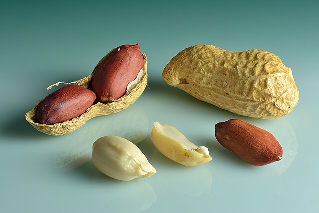 The Georgia peanut could pave way for new Farm Bill