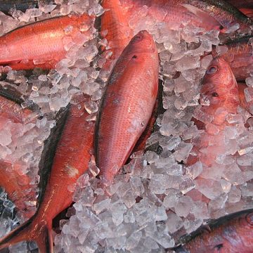 Frozen food (fish) at a supermarket in Japan: Credit, Wikimedia Commons Worldwide food production to rise 14% by 2034, says OECD-FAO