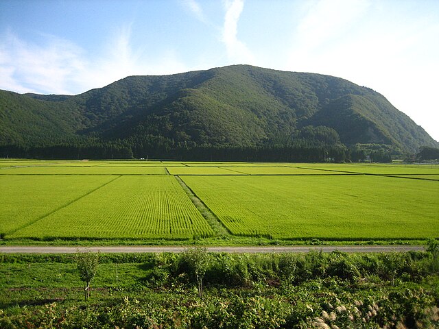 Rice paddies in Aizu, Japan: Credit, Wikimedia Commons Rice in Japan grows dear as inflation surges 0.4%