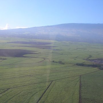 A Fiji sugar state of mind unravels as production plunges 