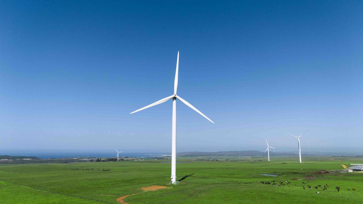 B-ecause_Wind Farm-84-1 (c) Red Cap Energy Wind farms in South Africa “provide a substantial income to the local community”-Red Cap Energy