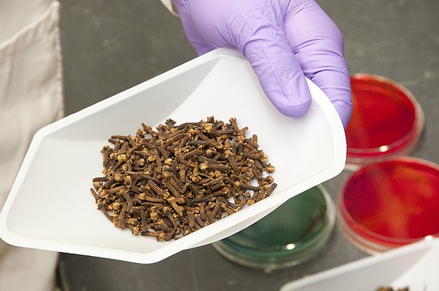 FDA Food Safety and Applied Nutrition Lab: Credit, Wikimedia Commons FDA recall of 60 baked goods stokes listeria awareness