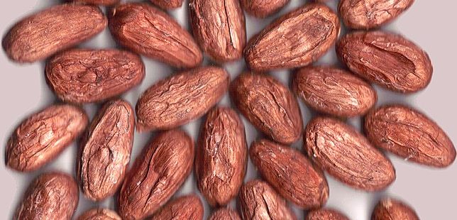 Raw cacao: Credit, Wikimedia Commons Raw cocoa sticks to $8,000 amid sinking demand