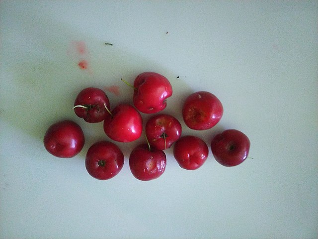Ripe cherries from India: Credit, Wikimedia Commons Indian Kashmir cherries make maiden shipments to UAE, Saudi