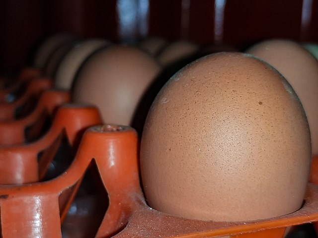 Eggs in a crate: Credit, Wikimedia Commons Retail eggs shed $1 month-on-month in the U.S.