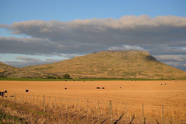 Wheat planting in Argentina underway with high production hopes