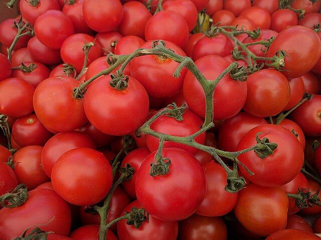 Cocktail tomatoes from at Campbell farmers market, California: Credit, Wikimedia Commons Tomato market in the United States about steady fall 2025