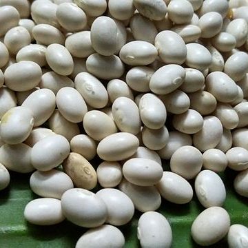 soy markets depend on reigning soya trade trends