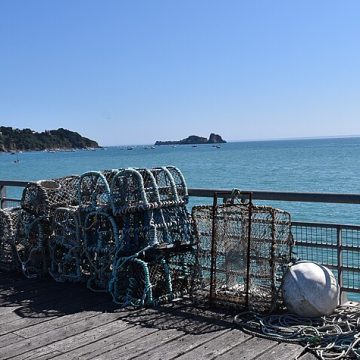 lobster traps: credit, Wikimedia Commons rope-less lobster fishing will replace traditional pots like these
