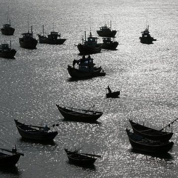 Vietnam fishing boats in Mui Ne harbor: Credit, Wikimedia Commons Vietnam is combating IUU fishing